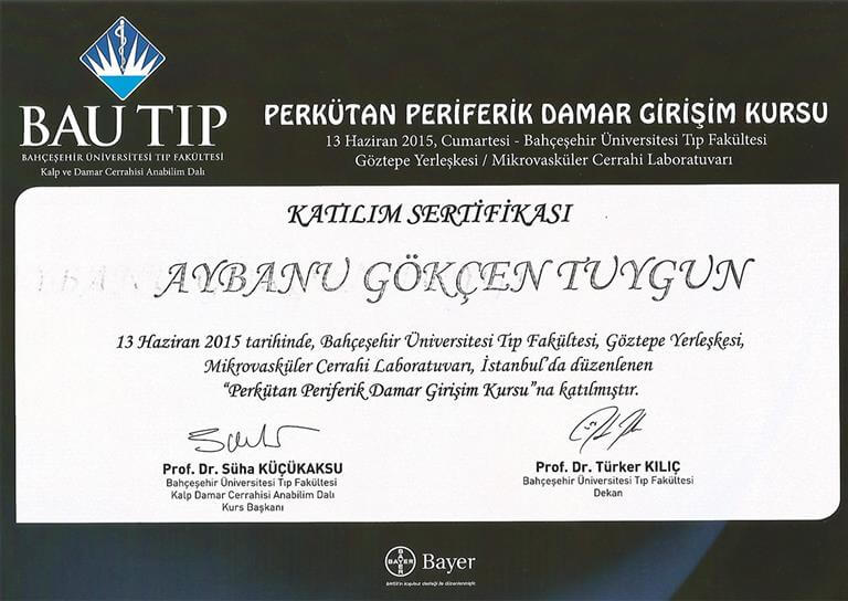 Certificate BAU Per Giriş Kursu 2015