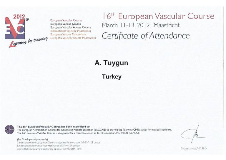 Certificate EVC 2012