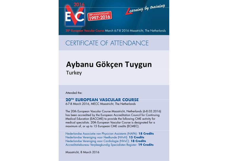 Certificate EVC 2016