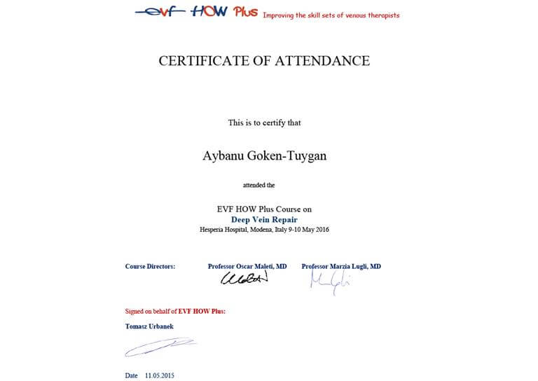 Certificate EVF HOW PLUS 2016