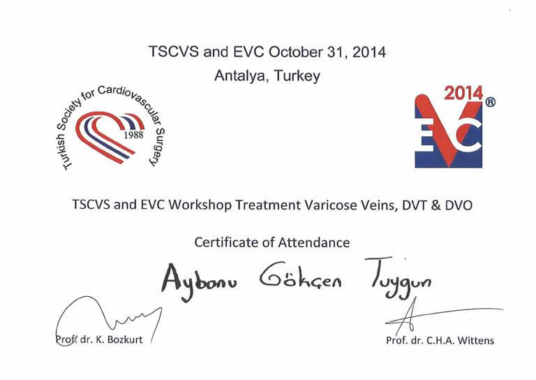 EVC Turkey Venous Disease 2014