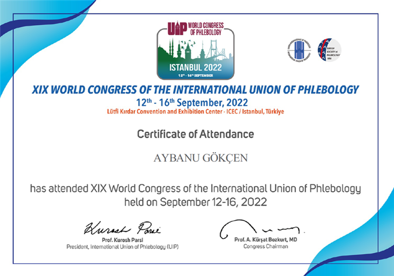 UIP World Congress (Katılımcı) Eylül 2022 (İstanbul)