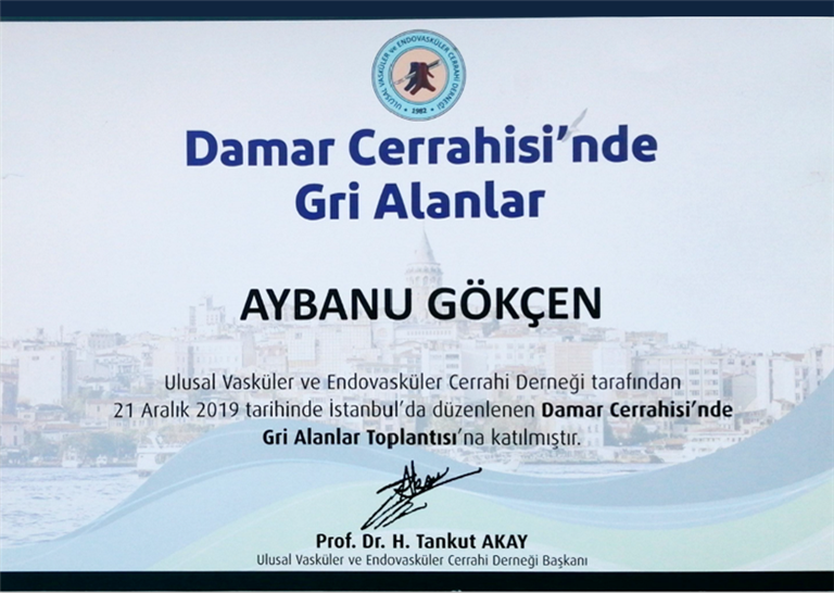 Damar Cerrahisinde Gri Alanlar (Katılımcı) Aralık 2019 (İstanbul)