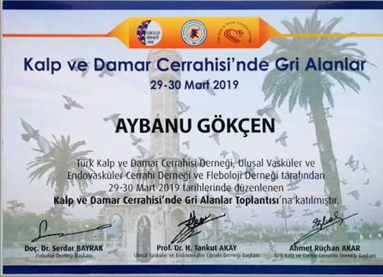 Damar Cerrahisinde Gri Alanlar (Katılımcı) Mart 2019 (İzmir)