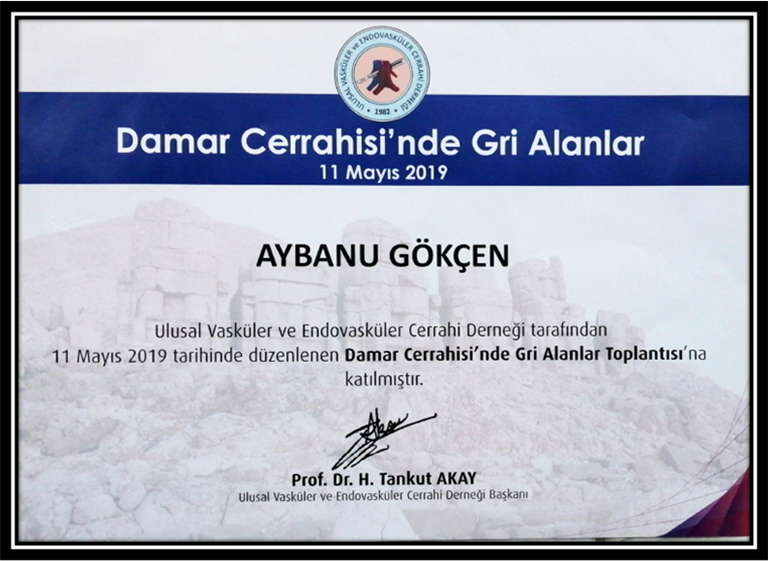 Damar Cerrahisinde Gri Alanlar (Katılımcı) Mayıs 2019 (İstanbul)