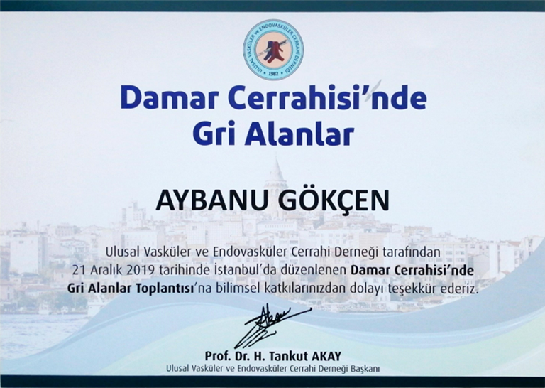 Damar Cerrahisinde Gri Alanlar (Konuşmacı) Aralık 2019 (İstanbul)