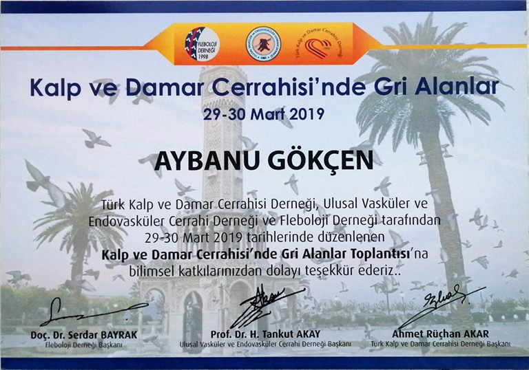Damar Cerrahisinde Gri Alanlar (Konuşmacı) Mart 2019 (İzmir)