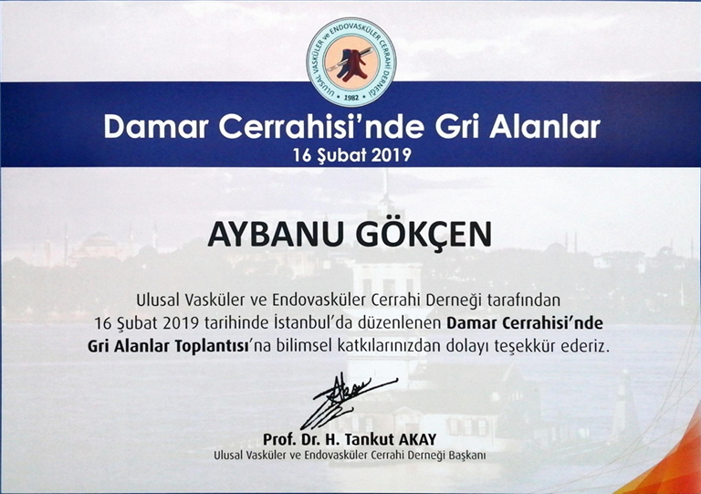 Damar Cerrahisinde Gri Alanlar (Konuşmacı) Şubat 2019 (İstanbul)