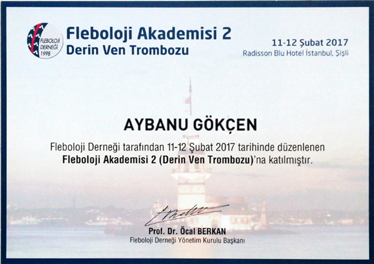 Fleboloji Akademisi 2 (Katılımcı) Şubat 2017 (İstanbul)