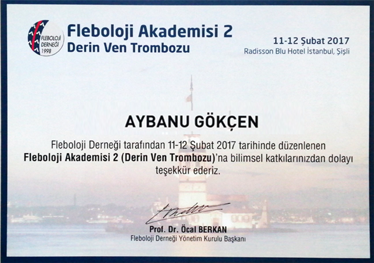 Fleboloji Akademisi 2 (Konuşmacı) Şubat 2017 (İstanbul)