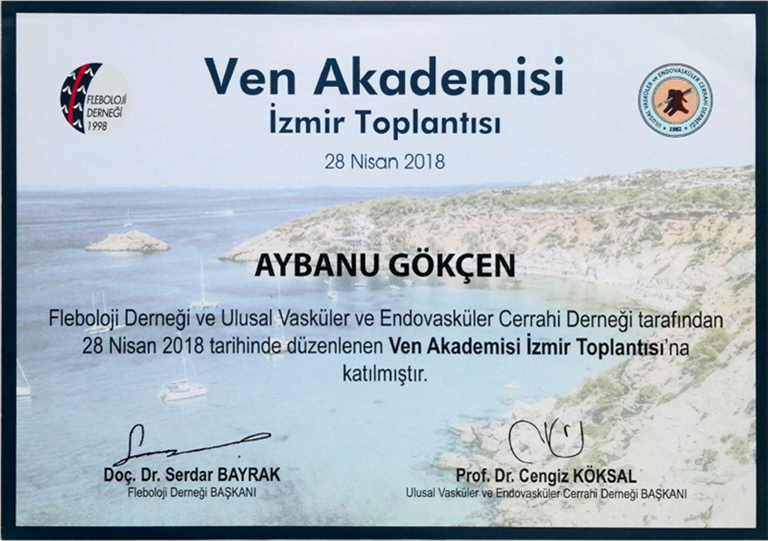 Ven Akademisi (Katılımcı) Nisan 2018 (İzmir)