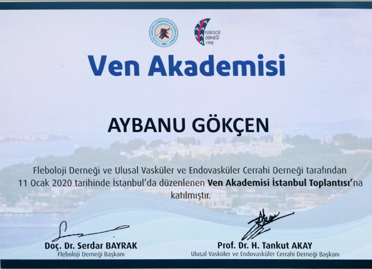 Ven Akademisi (Katılımcı) Ocak 2020 (İstanbul)