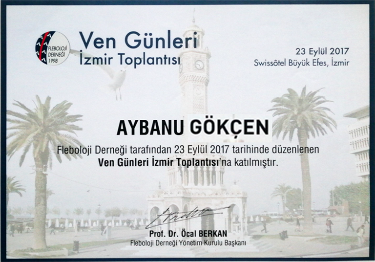 Ven Günleri (Katılımcı), Eylül 2017 (İzmir)